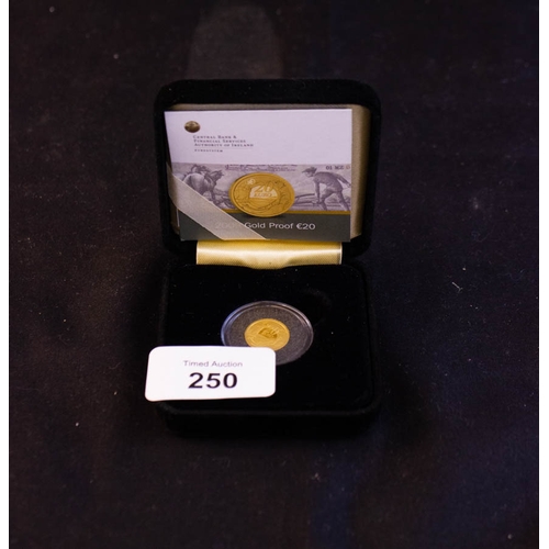 250 - GOLD PROOF €20 COIN 2009 