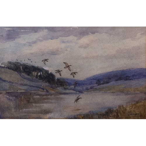 289 - Hugh Monahan (1914-1970) WILD DUCKS OVER LOUGH IN CO. MAYO. WATERCOLOUR. SIGNED 18 X 28CM