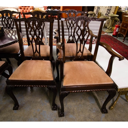 468 - 6 + 2 RIBBON BACK MAHOGANY CLAW LEG DINING CHAIRS