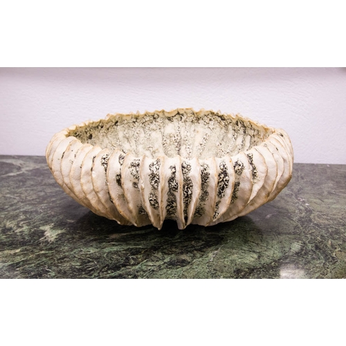 63 - SUPER JANE JERMYN CERAMIC ORGANIC FORM SHELL 38CM DIAMETER X 14CM HIGH