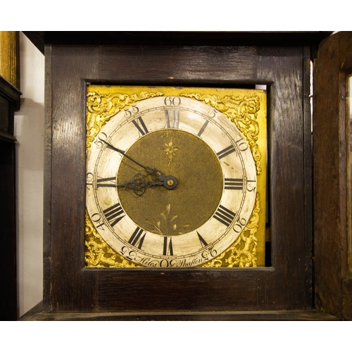 130 - OAK HEAVILY CARVED 30 HOUR GRANDFATHER CLOCK WITH BRASS FACE WITH WEIGHT + PENDULUM. 50 X 210 CM