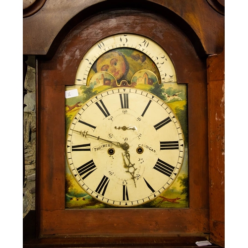 14 - VICTORIAN PAINTED ARCH DIAL GRANDFATHER CLOCK WITH THOMAS WEBB CARDIGAN  WALES