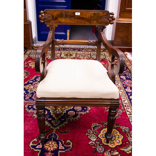 364 - WILLIAM IV MAHOGANY  CARVER CHAIR