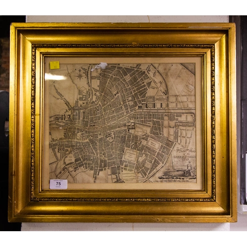 75 - ANTIQUE STREET MAP OF DUBLIN  IN 1828 BY W. CORBET, PALACE STREET.