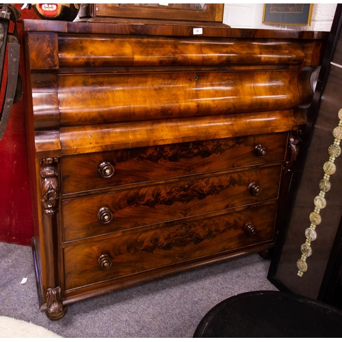 Lot 50        