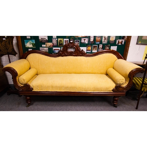 Lot 56        