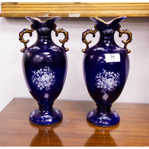 Lot 54        