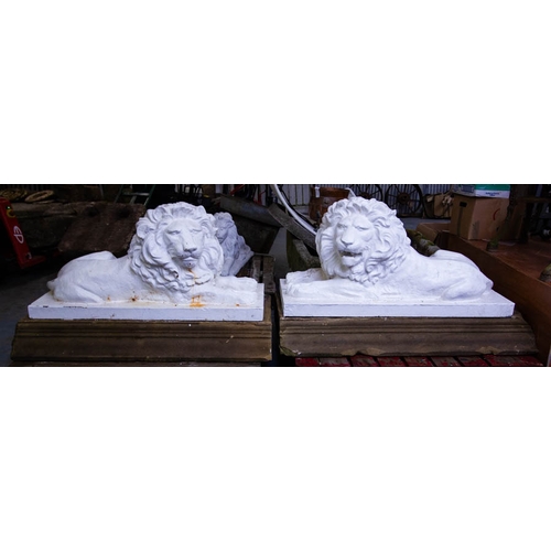 PAIR OF LARGE CAST IRON LIONS ON SANDSTONE BASES 130L X 60D X 71H CM