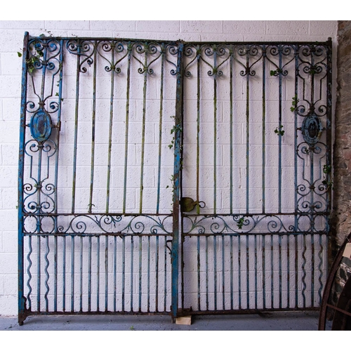 TALL BLUE FORGED ESTATE GATE 315W X 290H CM