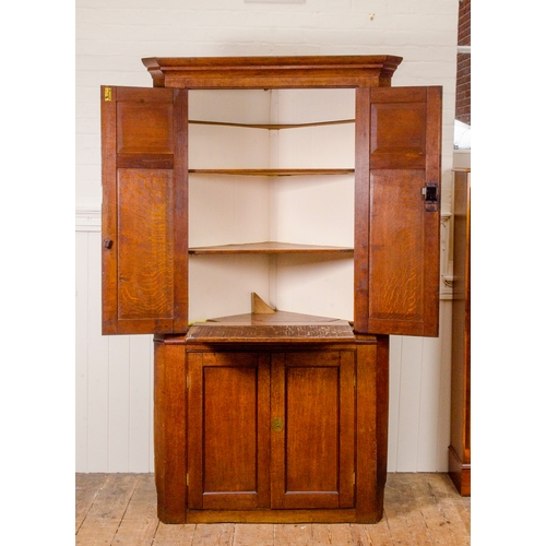 449 - An Early Victorian oak cross banded double door corner cupboard with fitted interior, 78.5 x 41 inch... 