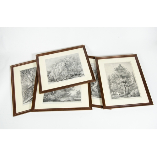 567 - Five H.W. Burgess prints, including Weymouth time, weeping willow, stone pine, beach tree, and king ... 