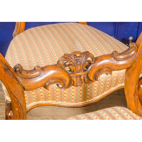 461 - A Set of Four Victorian hoop back dining chairs resting on shaped legs.