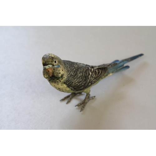 675 - An Interesting German design Bronze Study of an Budgerigar.