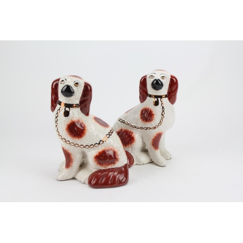 690 - A Pair of Staffordshire Design Dogs decorated in Rust.