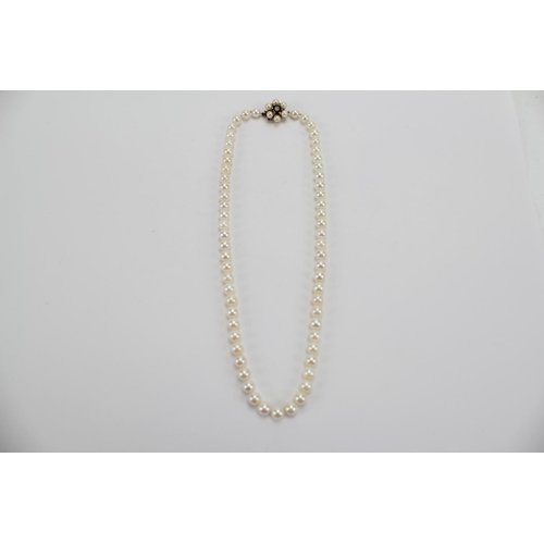 65 - A 9ct Gold clasp mounted string of knotted pearls.