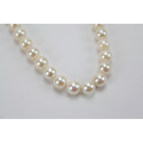 65 - A 9ct Gold clasp mounted string of knotted pearls.