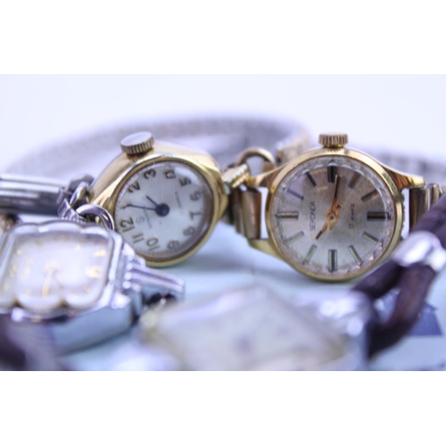 203 - A collection of ladies wristwatches to include a Oris, Sekonda, etc.