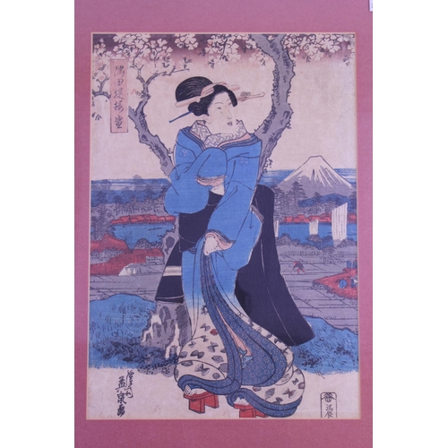 913 - A Japanese Wood Block Print of a Japanese Lady in front of a blossoming tree, paddy fields & Mount F... 