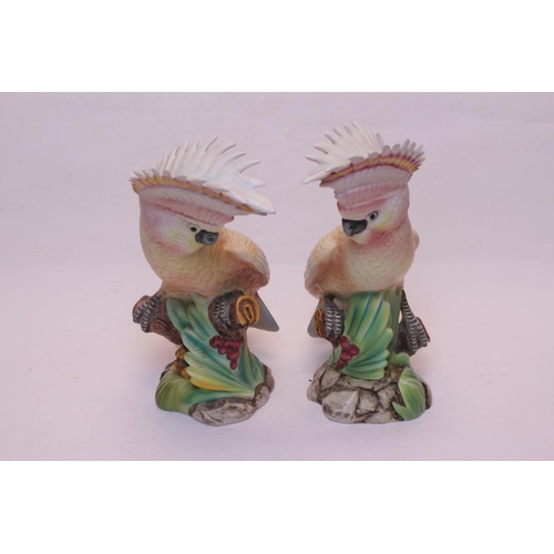 769 - 2 x Italian Coloured Bisque Ornaments designed as Parrots on Rustic Bases.