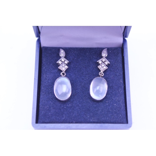 218 - A Pair of Diamond & Moonstone Drop Earrings.