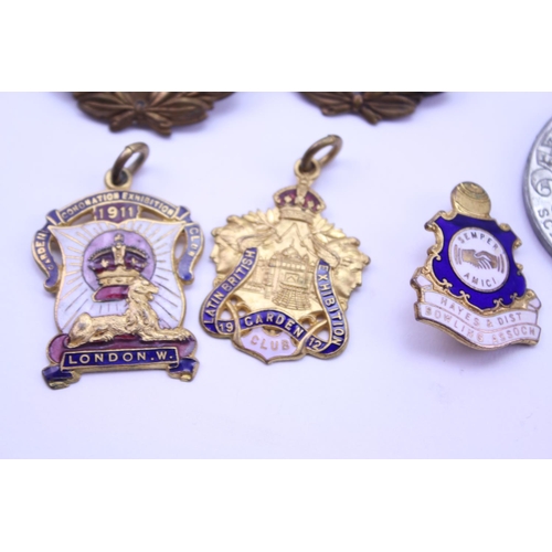 374 - 2 x R.A.F. Cap Badges, R.A.F. VR Pin in Blue, R.A.F. Tags,  1911 London Exhibition enamelled Badge, ... 