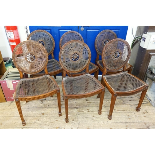 407 - A Set of 8 Adams Design Victorian Dining Chairs & Elbow Chairs with Bergere & Carved Panel Centre re... 