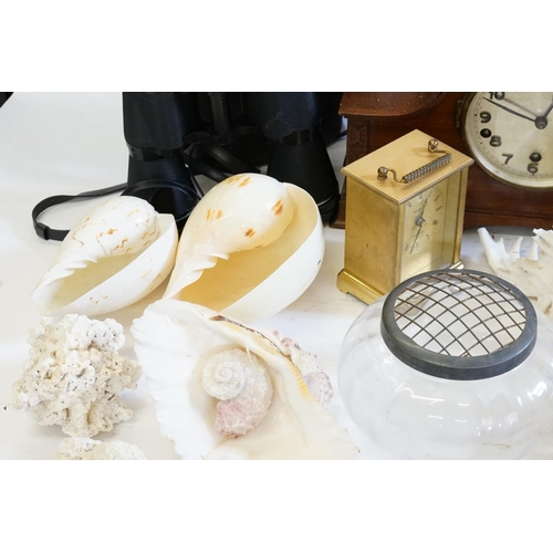 773 - A Box of Various items to include Binoculars, Mantle Clock, Nautilus Shell, Conch & other Shells.