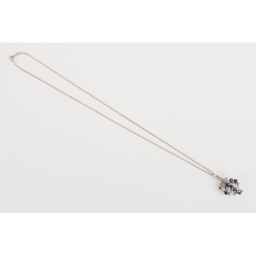 146 - A Silver Sapphire and paste necklace, hung on Silver chain. Weight: 5.8grams.