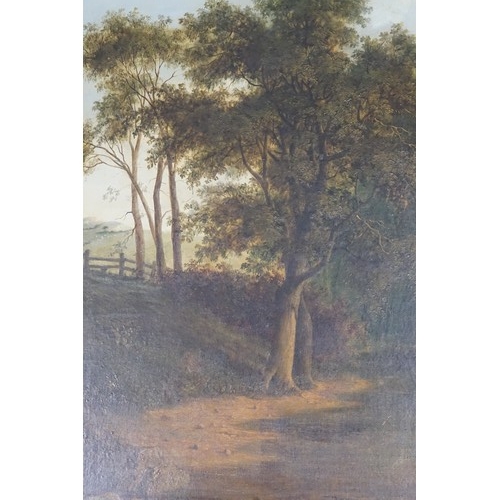 1011 - A Late 19th Century Oil on Canvas of a Country Pathway with a Tree & Fence in a subdued setting. Mea... 