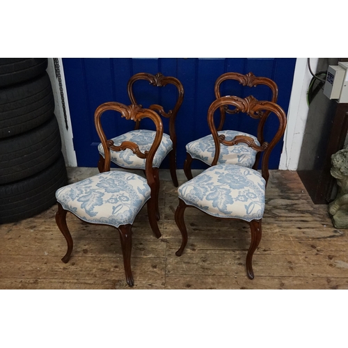 508 - A Set of Four Victorian Hoop Back Carved Splat Chairs resting on a shaped scrolled Spanish foot upho... 