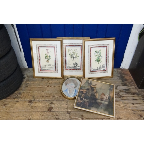 820 - Three Framed & Glazed Floral Prints After Linnaeus, a Limited Edition Print & a Family Portrait. All... 