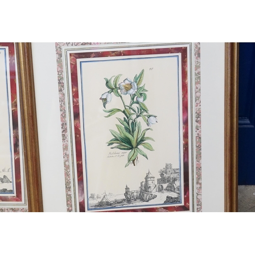 820 - Three Framed & Glazed Floral Prints After Linnaeus, a Limited Edition Print & a Family Portrait. All... 