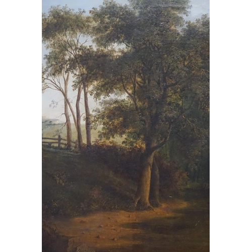 792 - A Late 19th Century Oil on Canvas of a Country Pathway with a Tree & Fence in a subdued setting alon... 