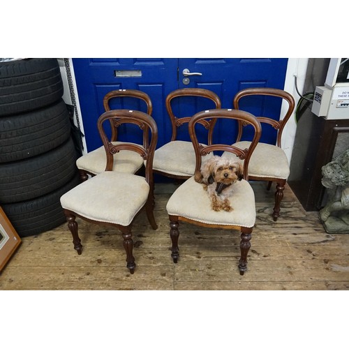 479 - A set of 5 Mahogany Chairs with Cream Covers.