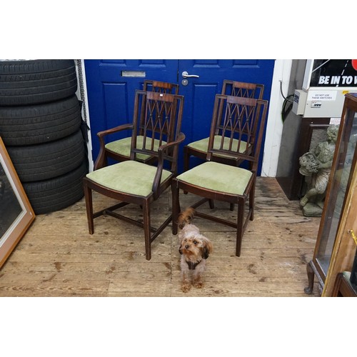 480 - A Set of Four Antique Mahogany Chairs with Green Covers.