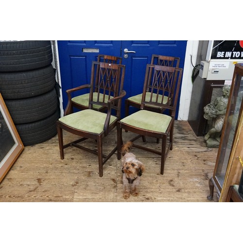 549 - A Set of Four Antique Mahogany Chairs with Green Covers.