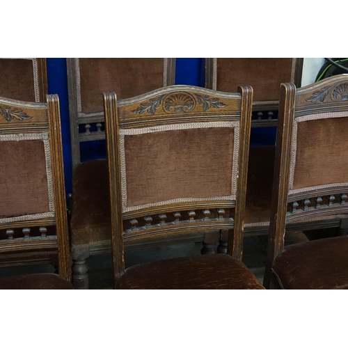 557 - A Set of 6 Edwardian Oak Framed Dining Chairs with carved Cresting Rail & Turned Front Legs.