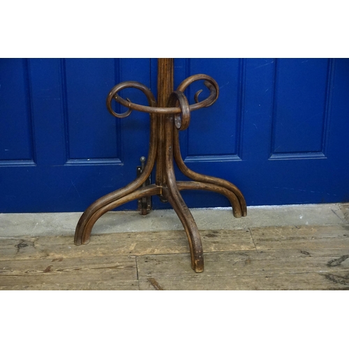 516 - A Steamed Bentwood Half Monkey Puzzle Hall Stand. Measuring: 190cms Approx High x 72cms across.