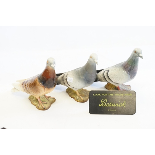 1076 - Three Various Beswick Studies of Racing Pigeons.