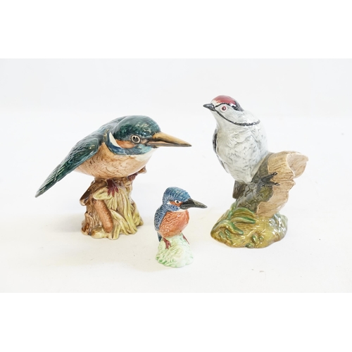 1077 - Three various Beswick Bird Studies to include two Kingfishers & a Lesser Spotted Woodpecker No: 2408... 