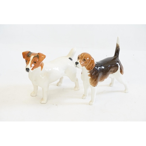 1078 - Two Beswick Studies to include a Jack Russell Terrier & a CH Wendover Billy.