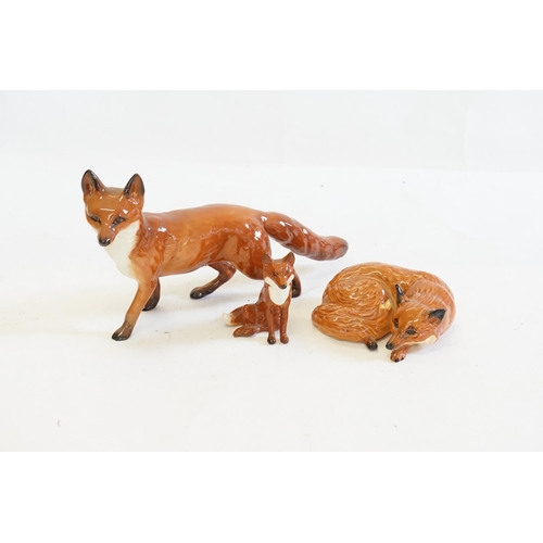 1081 - Three various Large Beswick Studies of Foxes seated, Recumbent & On Alert.