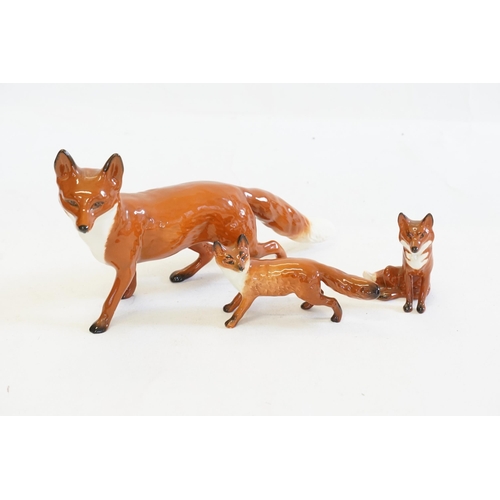 1082 - Three Beswick Studies of Foxes, No: 1746, one Recumbent & two Alerts.