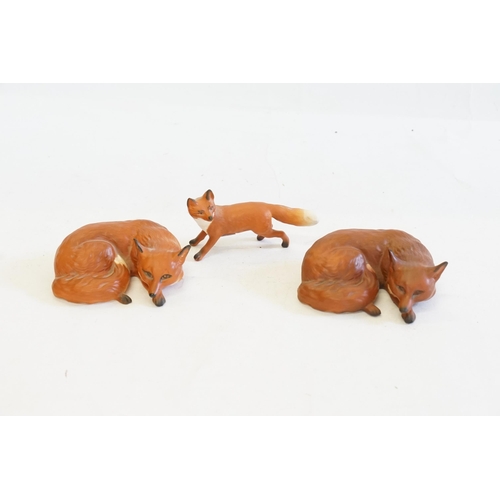 1084 - Three Various Beswick Studies of Foxes in a Tan Finish.