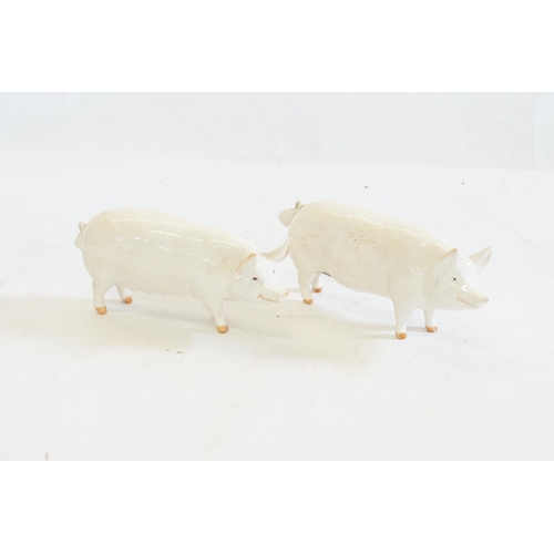 1088 - Two Beswick Studies of CH Wallboy & Queen Pigs.