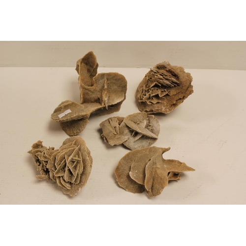 569 - Five various Calcite/Gypsum studies of Desert Roses. Weighing: 6 lbs.