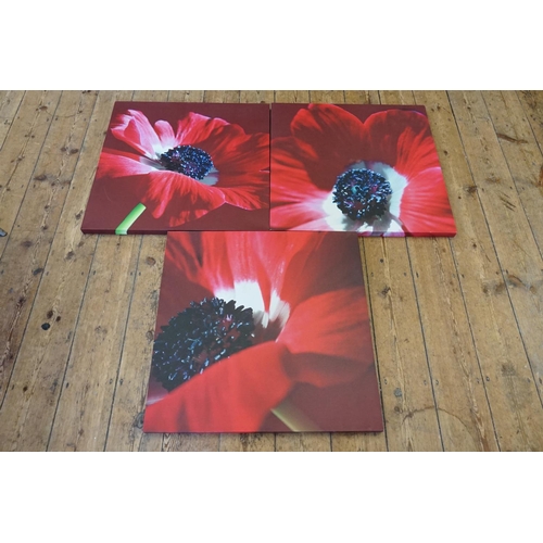 381 - A Set of Three Modern Canvas Pictures of Flowers. Measuring: 70cms x 70cms.