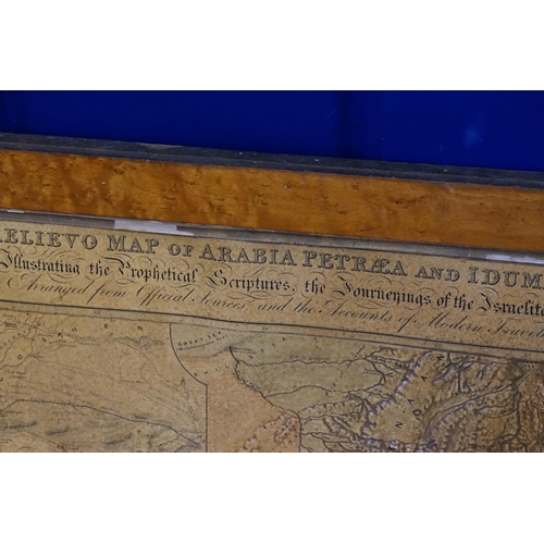 334 - Two 19th Century Royal Geographic Society embossed Map of Arabia Petraea and Idumaea, published by D... 