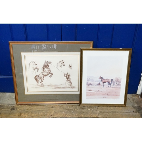 396 - A Print of an Arab training a horse along with Arabian Stallions in the desert, Framed & Glazed.