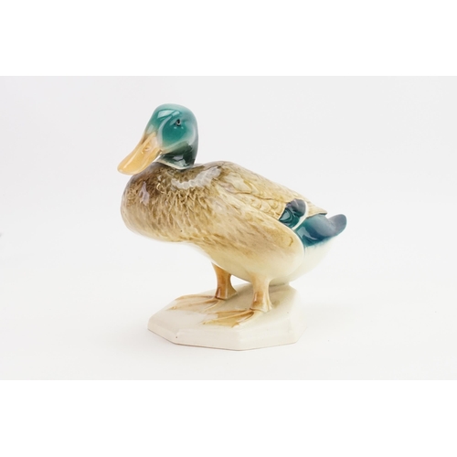 982 - A Large Beswick study of a Duck on Base No: 8799.